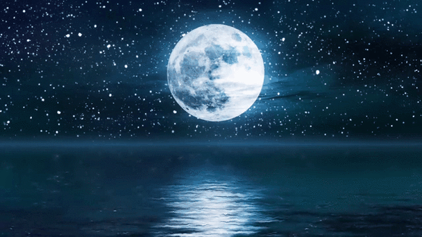 想了解月之境最新动态?看这一篇就全都懂了!