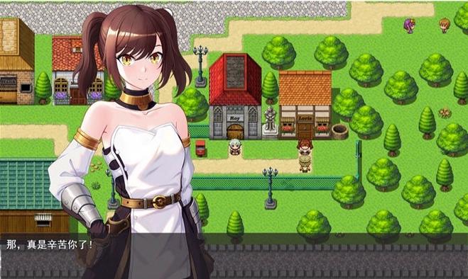 勇者罗伊的婚礼游戏秘籍分享，老玩家教你玩转游戏！