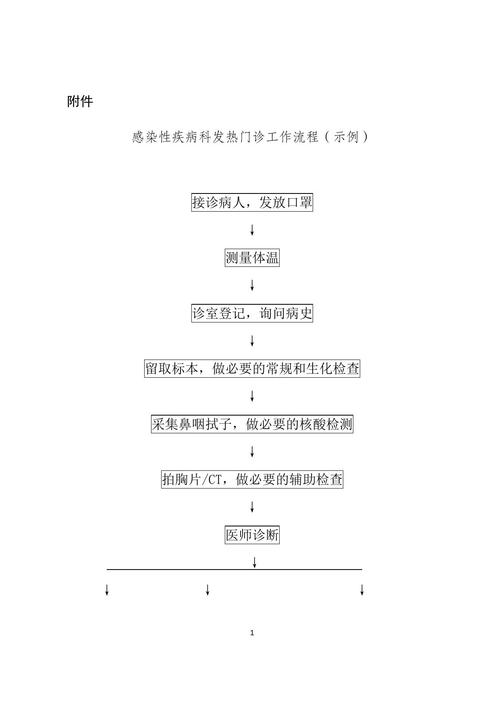 正确下载乡间性活流程解析？5个要点一步步完成！