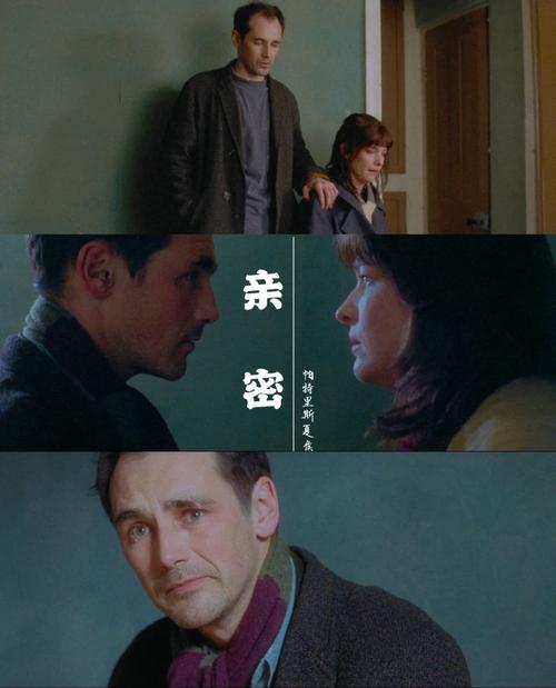 亲密接触版本大全最新资源？最详细的平台使用攻略