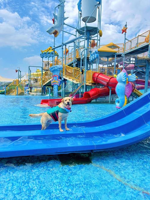 SOA水上乐园最新开放时间?周末游玩全指南!