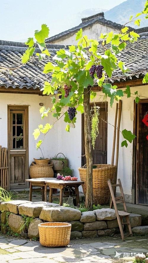 乡下生活下载地址有哪些？(推荐三个靠谱资源平台)