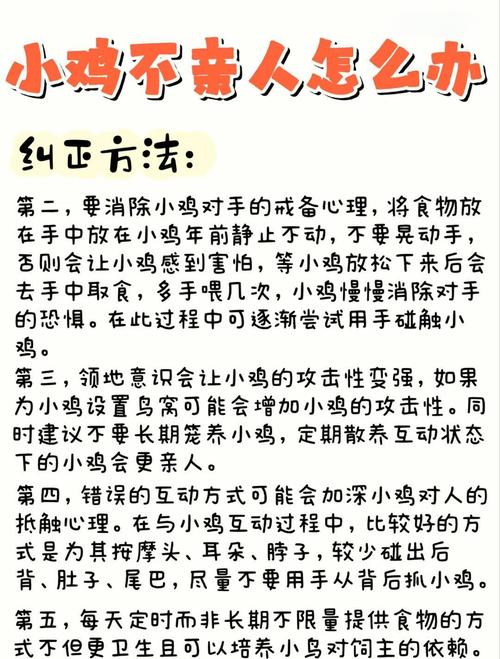 小鸡游戏技能怎么用？这些实用攻略技巧要记住
