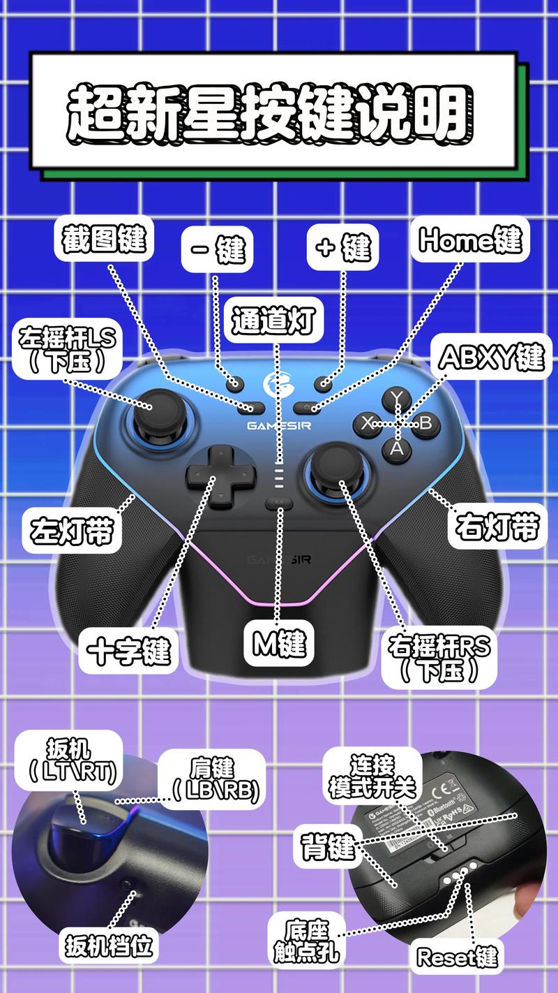 小鸡游戏技能怎么用？这些实用攻略技巧要记住