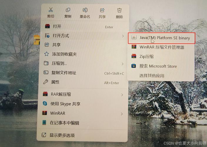 鲁迪下载后打不开怎么办？五个解决方法速收藏