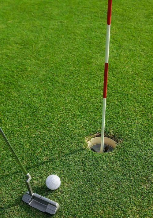 高尔夫是棒球洞的运动官方网站有哪些内容？(运动规则与攻略全解)