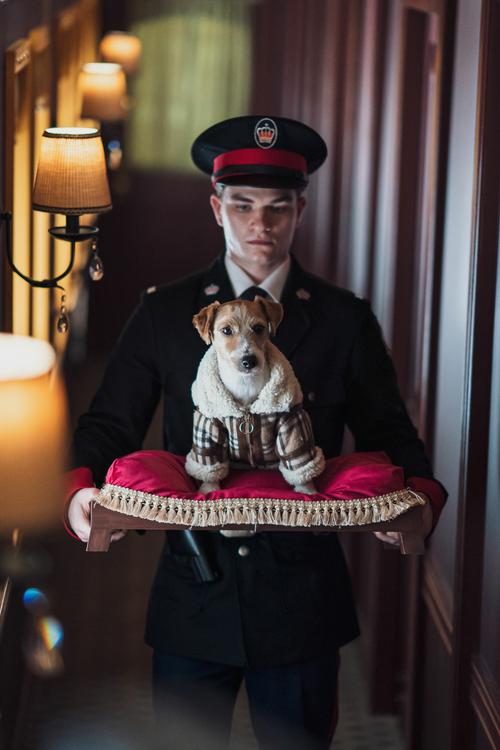 SOB欧洲典藏版绅士游戏好玩吗？玩家真实体验分享