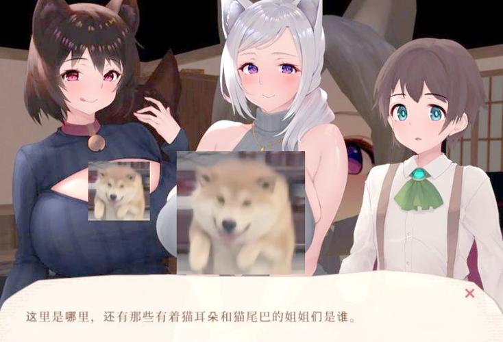魔女与猫的桃源乡新手怎么玩？独家技巧无保留！