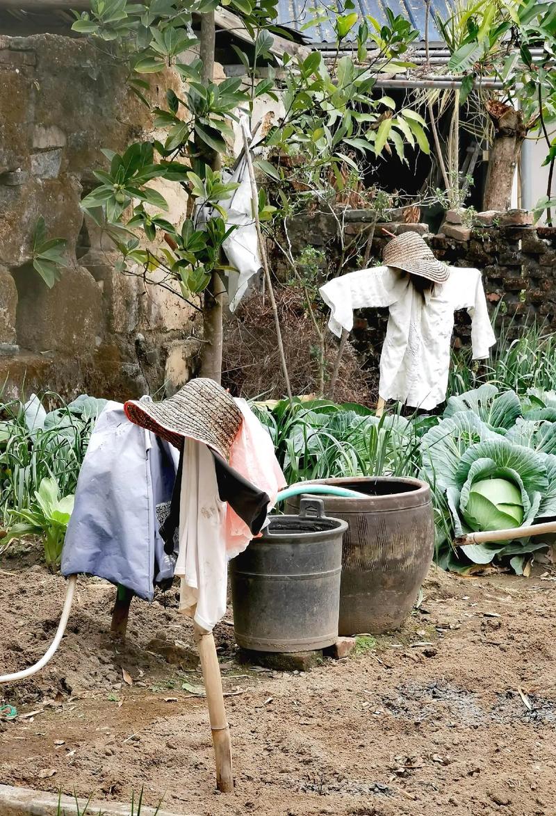 乡间生活最新版本怎么玩转痴情哥哥与病弱妹妹？(实用攻略轻松上手！)