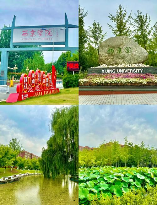 西景学院版本大全怎么用？(高手分享实操经验！)